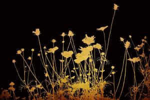 DIMEX | Vliesová fototapeta Zlaté květiny MS-5-1327 | 375 x 250 cm| zlatá, černá, oranžová