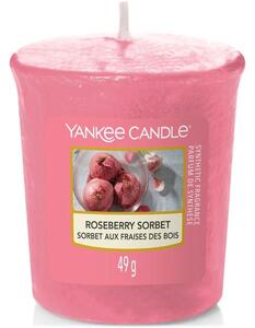 Votivní svíčka Yankee Candle - Roseberry Sorbet