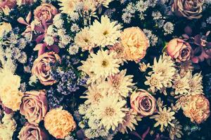 DIMEX | Vliesová fototapeta Květinový vintage styl MS-5-1378 | 375 x 250 cm| bílá, krémová, oranžová, růžová