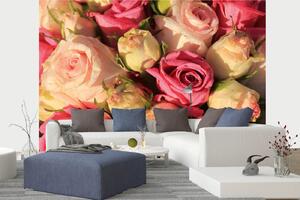 DIMEX | Vliesová fototapeta Svatební kytice růží MS-5-1394 | 375 x 250 cm| krémová, růžová