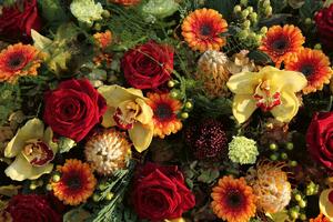 DIMEX | Vliesová fototapeta Květinové aranžmá MS-5-1393 | 375 x 250 cm| zelená, červená, žlutá, oranžová