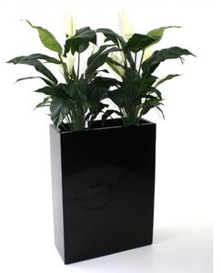 MF Umělá rostlina Spatiphyllum DeLuxe (80cm)