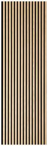 AKUSTICKÝ PANEL, 56/244/1,8 cm XXXL
