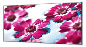 Ochranná deska plovoucí květiny - 50x70cm / Bez lepení na zeď