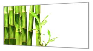 Ochranná deska bambus s listy bílé pozadí - 52x60cm / Bez lepení na zeď