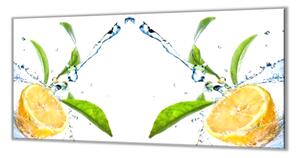 Ochranná deska citron ve vodě s listím - 52x60cm / S lepením na zeď