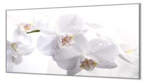 Ochranná deska květy bílá orchidej - 52x60cm / S lepením na zeď