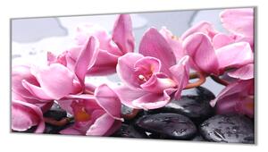 Ochranná deska růžové květy orchideje - 40x60cm / Bez lepení na zeď