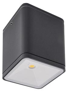 Redo 9199 LED venkovní stropní svítidlo 6W | 628lm | 4000K | IP54