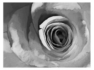 Velkoformátová tapeta Artgeist Paper Rose, 400 x 309 cm