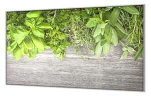 Ochranná deska bylinky na šedém dřevě - 40x60cm / S lepením na zeď
