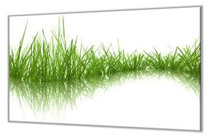 Ochranná deska tráva na hladině - 50x70cm / Bez lepení na zeď