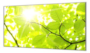 Ochranná deska slunce mezi listím - 52x60cm / Bez lepení na zeď