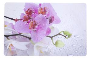 Prostírání Orchid 4, 43,5 x 28,5 cm, sada 4 ks