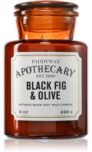 Paddywax Apothecary Fig & Olive vonná svíčka 226 g