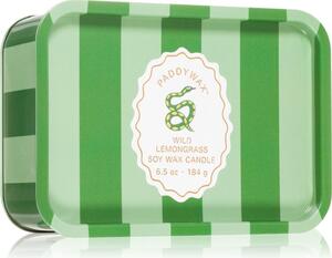 Paddywax A Dopo Snake vonná svíčka 184 g