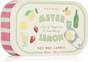 Paddywax Bistro Meyer Lemon vonná svíčka 127 g