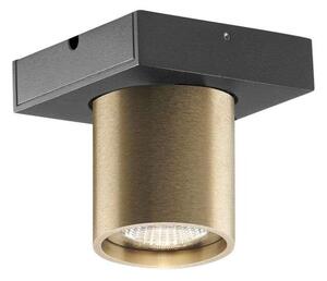 LIGHT-POINT - Focus Mini 1 LED Stropní Lampa 2700K BrassLight-Point - Lampemesteren