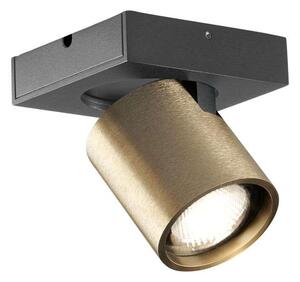 LIGHT-POINT - Focus Mini 1 LED Stropní Lampa 3000K BrassLight-Point - Lampemesteren
