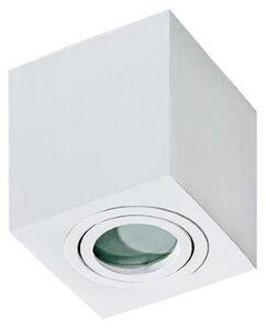 Azzardo AZ2822 přisazené stropní bodové svítidlo Brant Square 1x50W | GU10 | IP44