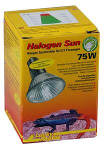 Lucky Reptile Halogen Sun Spot 75W