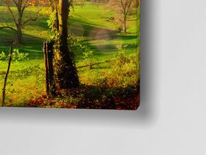 Liox Obraz pěšina z lesa Rozměr: 100 x 45 cm