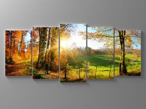 Liox Obraz pěšina z lesa Rozměr: 100 x 45 cm