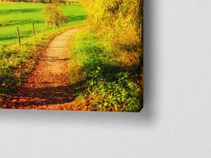 Liox Obraz pešina z lesa Rozměr: 100 x 40 cm