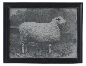 Chic Antique Plátěný obraz v černém rámu - Ovce
