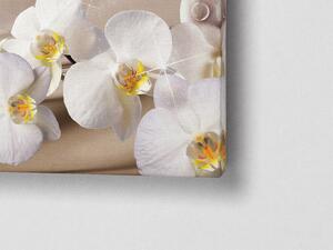 Liox Obraz abstraktní orchidej Rozměr: 60 x 40 cm
