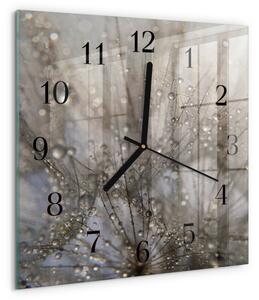 Skleněné hodiny na stěnu Kapky rosy zskc-30x30-00182583