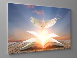 Liox Obraz holubice symbol míru Rozměr: 60 x 40 cm