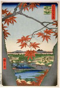 Obrazová reprodukce Maples leaves at Mama, Hiroshige, Ando or Utagawa