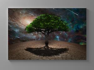 Liox Obraz strom života ve vesmíru Rozměr: 40 x 25 cm