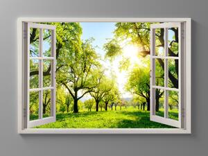 Liox Obraz zelená alej za okny Rozměr: 150 x 100 cm