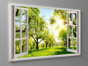 Liox Obraz zelená alej za okny Rozměr: 60 x 40 cm
