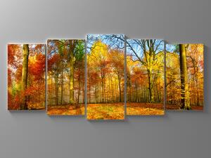 Liox Obraz barevný podzim Rozměr: 100 x 45 cm