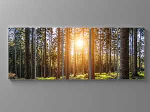 Liox Obraz ráno v lese Rozměr: 100 x 40 cm