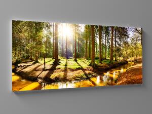 Liox Obraz řeka v lese Rozměr: 60 x 25 cm