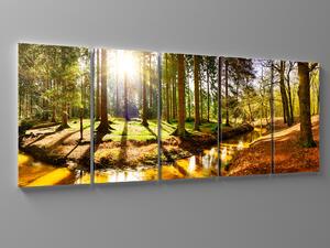 Liox Obraz řeka v lese Rozměr: 100 x 40 cm