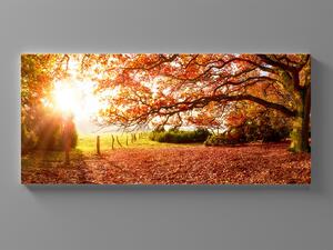Liox Obraz podzimní krajina Rozměr: 60 x 25 cm