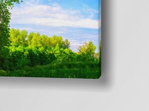 Liox Obraz strom přání Rozměr: 60 x 25 cm