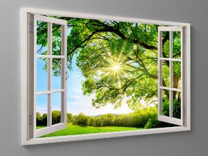 Liox Obraz okno strom přání Rozměr: 60 x 40 cm