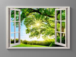 Liox Obraz okno strom přání Rozměr: 60 x 40 cm