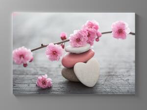 Liox Obraz květy a kameny Rozměr: 60 x 40 cm