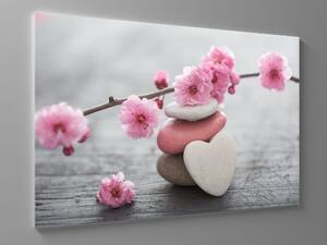 Liox Obraz květy a kameny Rozměr: 60 x 40 cm