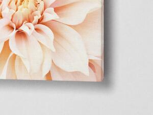 Liox Obraz růžové květy Rozměr: 60 x 40 cm
