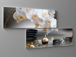 Liox Obraz orchidej a kameny ve vodě Rozměr: 80 x 40 cm