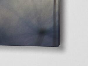 Liox Obraz létající chmýří pampelišky Rozměr: 80 x 40 cm