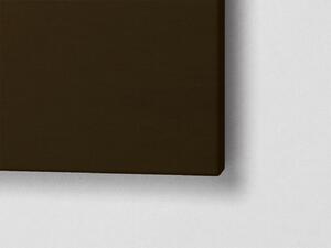 Liox Obraz zlaté kapky rosy Rozměr: 60 x 25 cm
